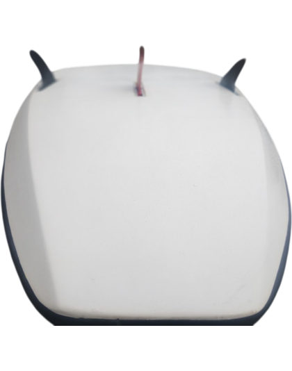 Mega Stingray ......  For Light people and juniors