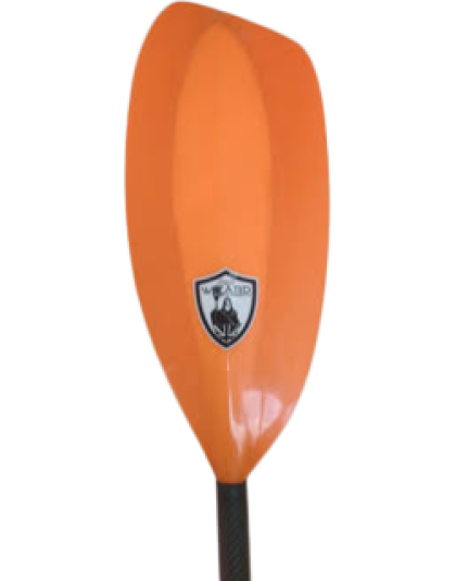 Wizard Stick Neo paddles